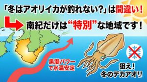 「冬はアオリイカが釣れない」は大間違い？南紀地方だけが“特別”な理由。釣太郎