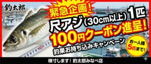尺アジ釣果お持ち込み、1匹に付き100円クーポン券1枚。5匹迄。バラ氷もあります。釣太郎