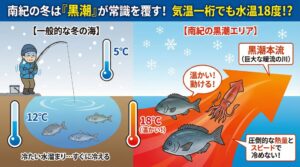 南紀の海において、「気温の低下＝水温の低下」という単純な図式は成立しません。 そこには黒潮という、地球規模の熱エネルギー供給システムが働いている。釣太郎