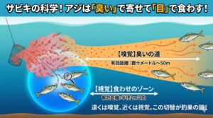 【AI分析】サビキ釣りでアジは「何メートル先」から餌に気づく？視覚vs嗅覚の科学的結論.釣太郎