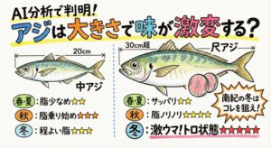 アジは大きさで味が激変する？「20cm vs 30cm」脂の乗りを春夏秋冬で比較してみた。釣太郎
