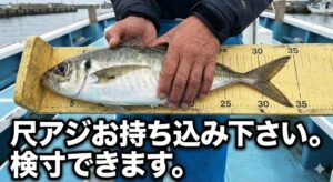 アジ釣ったらお持ち込み下さい。サイズ計れます。30㎝あればクーポン券も。釣太郎