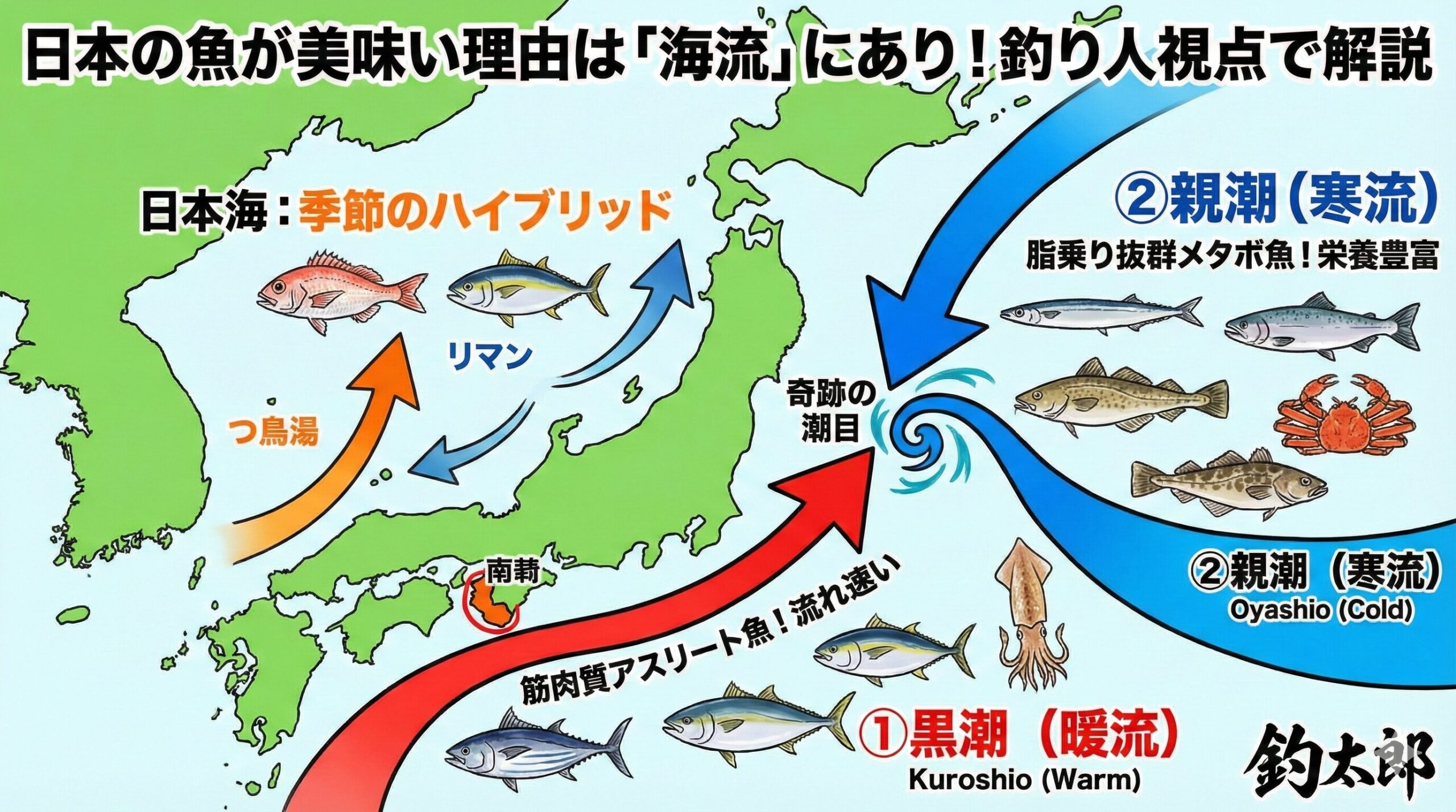 釣り人なら天気予報で一度は耳にしたことがある「黒潮」や「親潮」。 実はこれ、単なる海水の流れではなく、魚の「肉質」や「味」を決定づける最重要ファクター。釣太郎