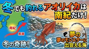 【本州唯一の楽園】なぜ南紀地方だけ冬でもアオリイカが釣れるのか？その秘密と攻略法。釣太郎