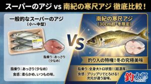 スーパーで売っている者とは全く次元が違う「南紀の寒尺アジ」。同じアジとは思えない、と言う人が圧倒的に多い。釣太郎