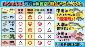 南紀では、本州の他のエリアと違い、「小潮でも黒潮が寄れば激流になる」という特異な現象が起きます。釣太郎
