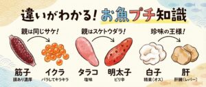 イクラ・筋子・タラコ・明太子・白子・肝の違いとは？魚卵と内臓の基礎知識をわかりやすく解説.釣太郎