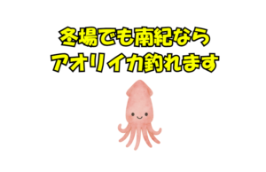 全国的には「冬はアオリイカが釣れない」が常識。しかし南紀だけは、黒潮 × 地形 × ベイト × 風裏 × 高水温 という条件が揃う。釣太郎