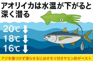 水温20〜16℃の変化に応じて、アオリイカは浅場から深場へと移動します。アジを潜らせましょう。釣太郎