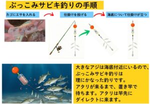 【南紀の冬釣り】堤防から尺アジを狙い撃つ！最強仕掛け「ぶっこみサビキ」の構造と釣り方を徹底解説。釣太郎
