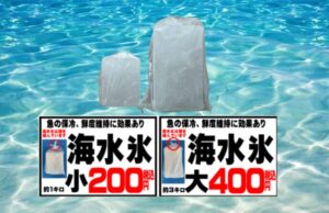 海水魚は真水に弱い。 真水氷は旨味を流す。 海水氷は細胞を守る。 釣太郎の海水氷は、釣果を価値に変える氷。