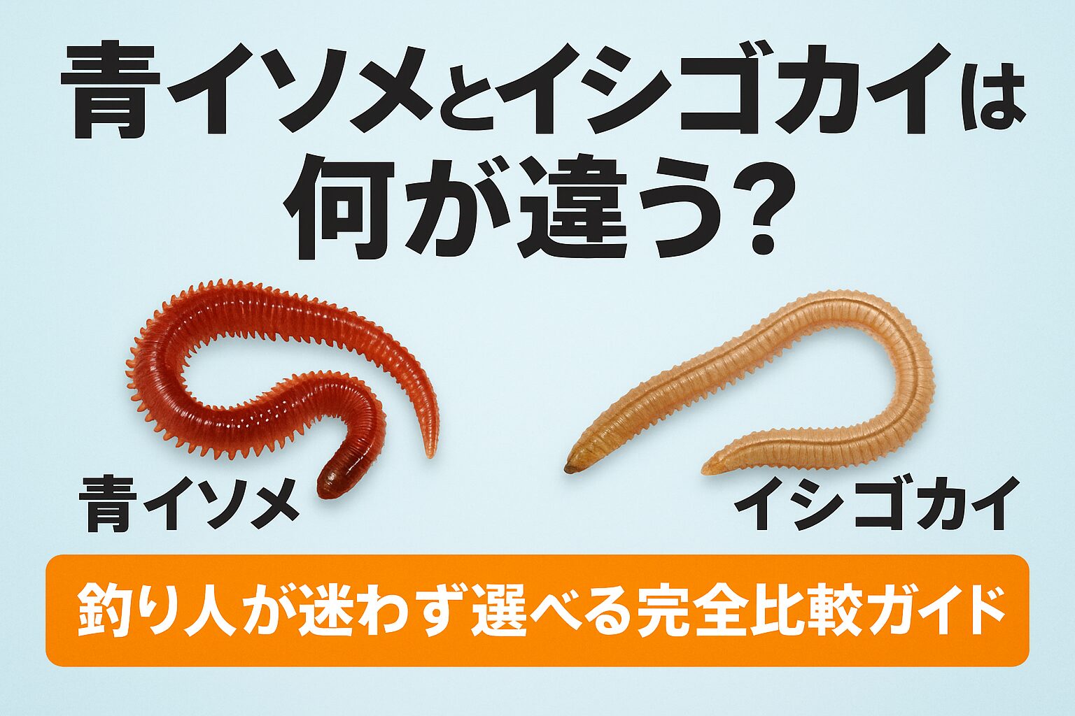 青イソメとイシゴカイは何が違う？釣り人が迷わず選べる完全比較ガイド
