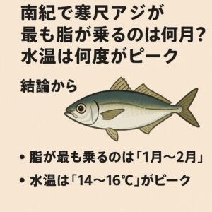 南紀の寒尺アジが 最も脂が乗る条件は ・月→ 1月〜2月・水温 → 14〜16℃。この条件が揃った寒尺アジは「アジとは思えない」と言われるほど別次元の味になります。釣太郎
