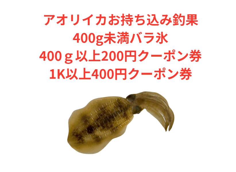 アオリイカお持ち込み下さい。小さくても結構です。お待ちしています。釣太郎