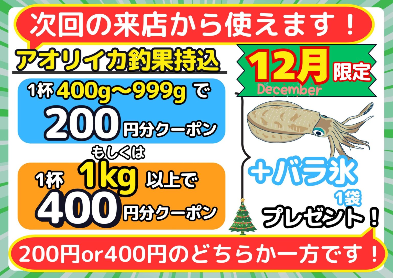 アオリイカ釣果お待ちしています。バラ氷、クーポン券等々。釣太郎