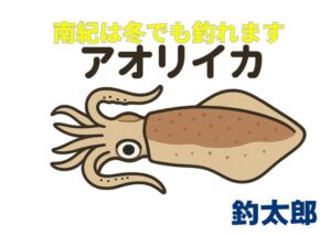 南紀は冬でもアオリイカが釣れる“全国屈指の冬イカエリア”釣太郎