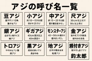アジは日本全国どこでも釣れるため同じ魚でも呼び名が多種多様になる。釣太郎