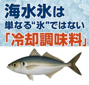 冬季のアジは脂がのり美味。さらに美味しくするには真水氷を海水氷に変えるだけ。釣太郎