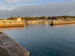 みなべ町堺堤防で15センチほどの中アジ爆釣中。バリコ（アイゴ）も釣れています。釣太郎