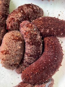 ナマコは夏は眠り、内臓を再生させ、海を浄化するという凄い能力を持っています。釣太郎