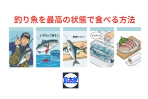 釣った魚を「究極」に美味しく食べるための全工程。現場での処理が全てを決める。釣太郎