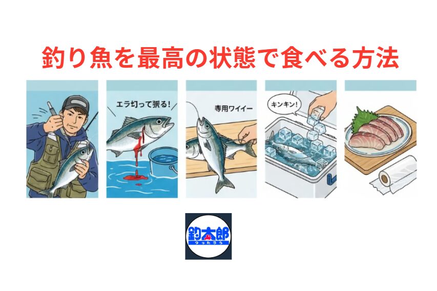 釣った魚を「究極」に美味しく食べるための全工程。現場での処理が全てを決める。釣太郎