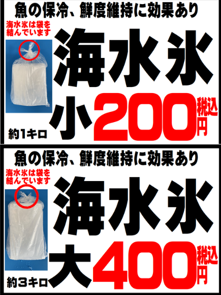 氷を変えるだけで魚の価値が変わる。釣りの成果を最大限に活かすには、海水氷が最適解。釣太郎