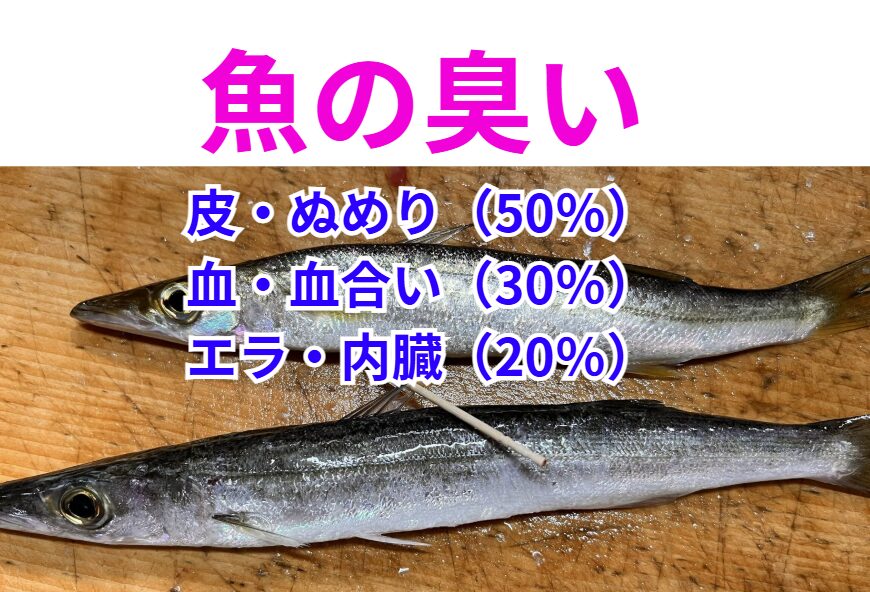 魚の臭いの元。皮・ぬめり（50％）血・血合い（30％）エラ・内臓（20％）釣太郎