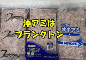 オキアミは見た目はエビだがプランクトン。 種類は多いが、釣りエサはほぼ「南極オキアミ」。釣太郎