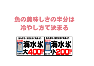 魚の美味しさの半分は「冷やし方」で決まる。冷やし方：50％（海水氷が圧倒的）血抜き：30％、締め方：20％。釣太郎