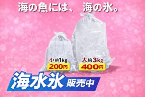 寒アジ・寒グレ・アオリイカが劇的に旨くなる！冷却を「海水氷」に変えるべき理由をAIが数値化分析。釣太郎
