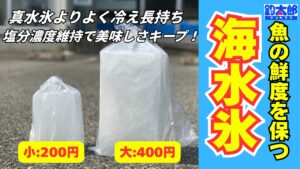 海水氷は、ただ冷やすだけの道具ではありません。 魚のポテンシャルを最大限に引き出す、最後にして最大の「釣り具」です。釣太郎
