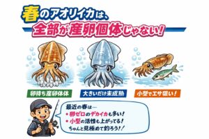 季節別アオリイカの産卵指数。釣太郎