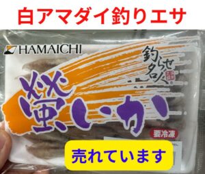 船からのアマダイ釣りエサは蛍イカも人気が高い。釣太郎