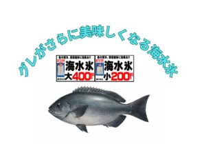 折角釣った40㎝のグレが水っぽいのは・魚が悪いからではない ・腕が悪いからでもない。冷却方法のミス。釣太郎
