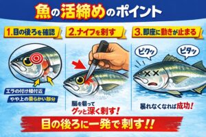 魚活締め。✔ 目の後ろに刺す✔ 一発で決める✔ 血抜きまでやる✔ 海水氷で冷やす。この4つだけであなたの魚は店レベルになります。釣太郎