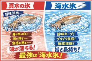 冬のアオリイカは、一年で最も甘く、最も美味しい。その価値を最大限に活かすなら、冷却は海水氷一択。釣太郎