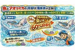 魚とアオリイカは「海水氷」で持ち帰ろう！24時間後の臭いが60%減る科学的理由。釣太郎