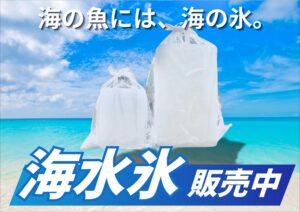 アジ、サバ、イワシは劣化が早い魚・原因は運動量、体温、脂と血 ・普通の氷では逆効果になることが多い・海水氷は浸透圧、冷却効率ともに最適。釣太郎