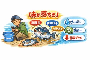 釣り初心者がまず意識すべきポイントは、釣れた魚を放置しない・暴れさせない・すぐ冷却する.釣太郎