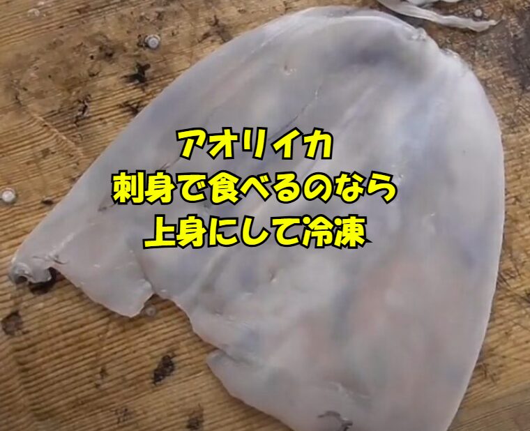 アオリイカ、刺身で食べるなら： 迷わず「上身（皮を剥いて柵の状態）」にして冷凍。期限は2週間。釣太郎