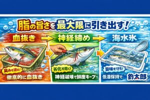脂魚は処理で味が決まる ・血抜きが9割・神経締めで劣化防止・海水氷で旨味キープ・冷却はスピード命。釣太郎