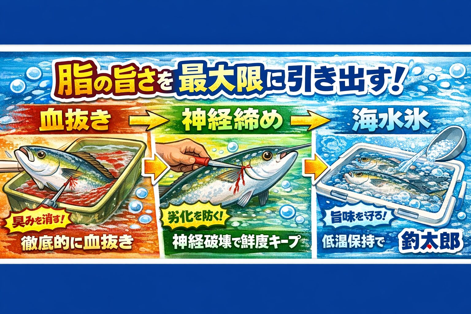 脂魚は処理で味が決まる ・血抜きが9割・神経締めで劣化防止・海水氷で旨味キープ・冷却はスピード命。釣太郎