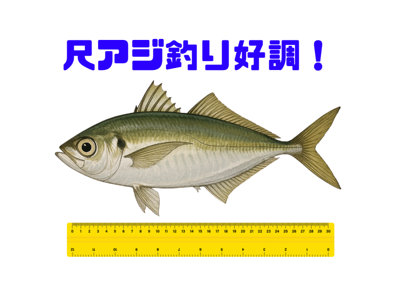 大寒波でも南紀の看守悪アジ釣りは絶好調で釣り人溢れています。釣太郎