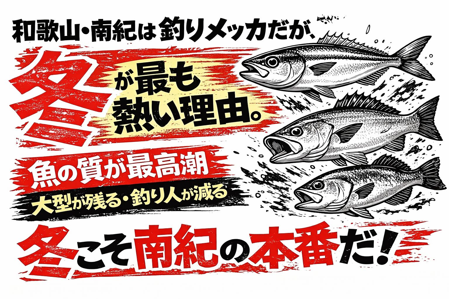 和歌山・南紀は一年中釣れる釣りメッカ。しかし、本当に熱いのは冬。・魚の質が最高潮 ・大型が残る・釣り人が減る・味が完成する。釣太郎
