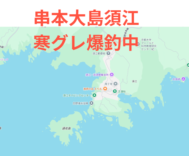 1月末に和歌山串本大島須江で寒グレが爆る理由は・黒潮直撃・水温回復・産卵前荒食い ・地形最強・エサ独占 全部が重なるから。釣太郎