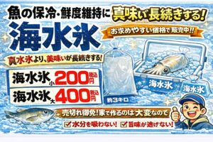 アオリイカは旨い。だが特に冬が最高。そしてその冬アオリイカを さらに美味しくするのが海水氷。釣太郎