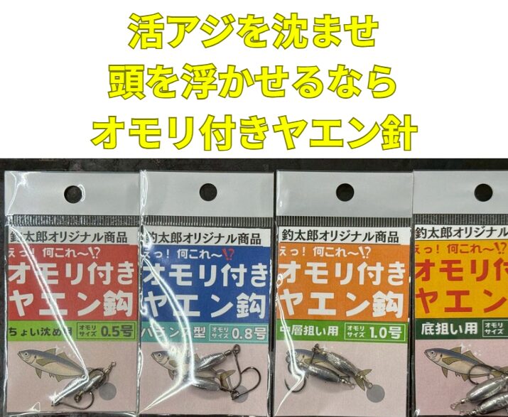 冬季のヤエン釣り、アオリイカは海底付近にいるという前提で組み立てる。アジを沈めて、頭を浮かせる姿勢を意識する。釣太郎