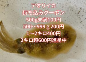 アオリイカ持ち込み釣果大募集！【2026年冬】和歌山・みなべ・白浜エリア今期も好調継続中！クーポン＆バラ氷サービスでお得。釣太郎