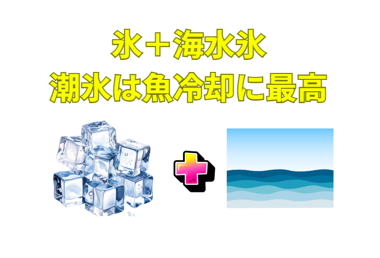 海水＋氷＝潮氷、急速冷却で鮮度保持：魚をキンキンに冷やし、死後硬直を遅らせ、旨味を保てます。特に小魚の氷締めに最適。傷つきにくい：シャーベット状の潮氷なら、魚体を優しく包み込み、輸送中のダメージを減らします。釣太郎